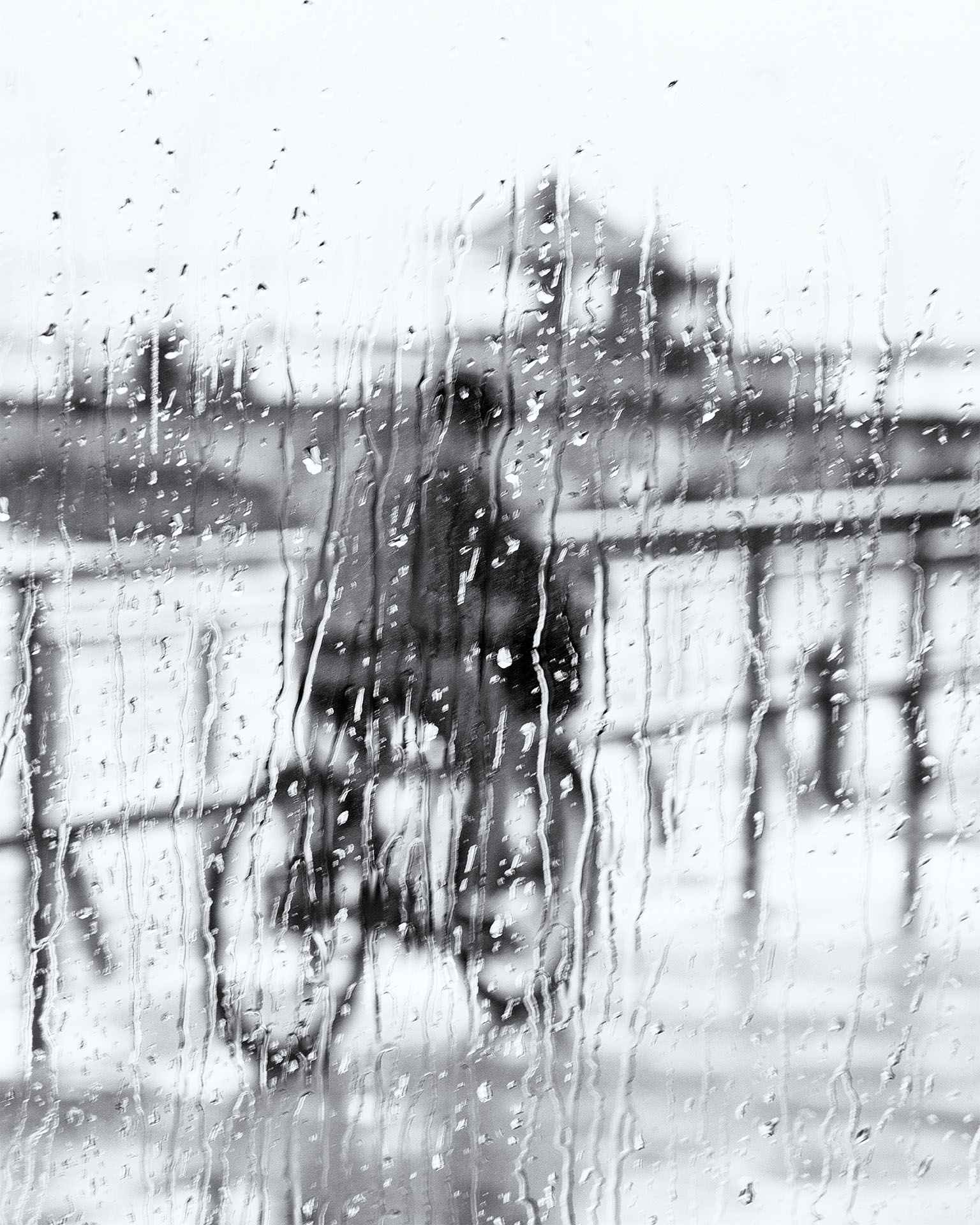 Cyclist in rain. Port of Tel-Aviv.