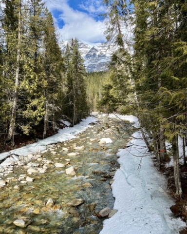 Robson River in snow, Mt. Robson in background