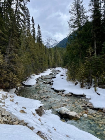 Robson River, halfway to Kinney Lake in snow