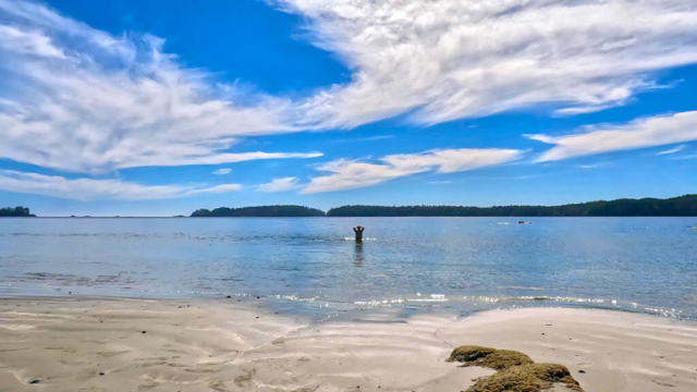 Birthday swim at Tonquin Beach in Tofino